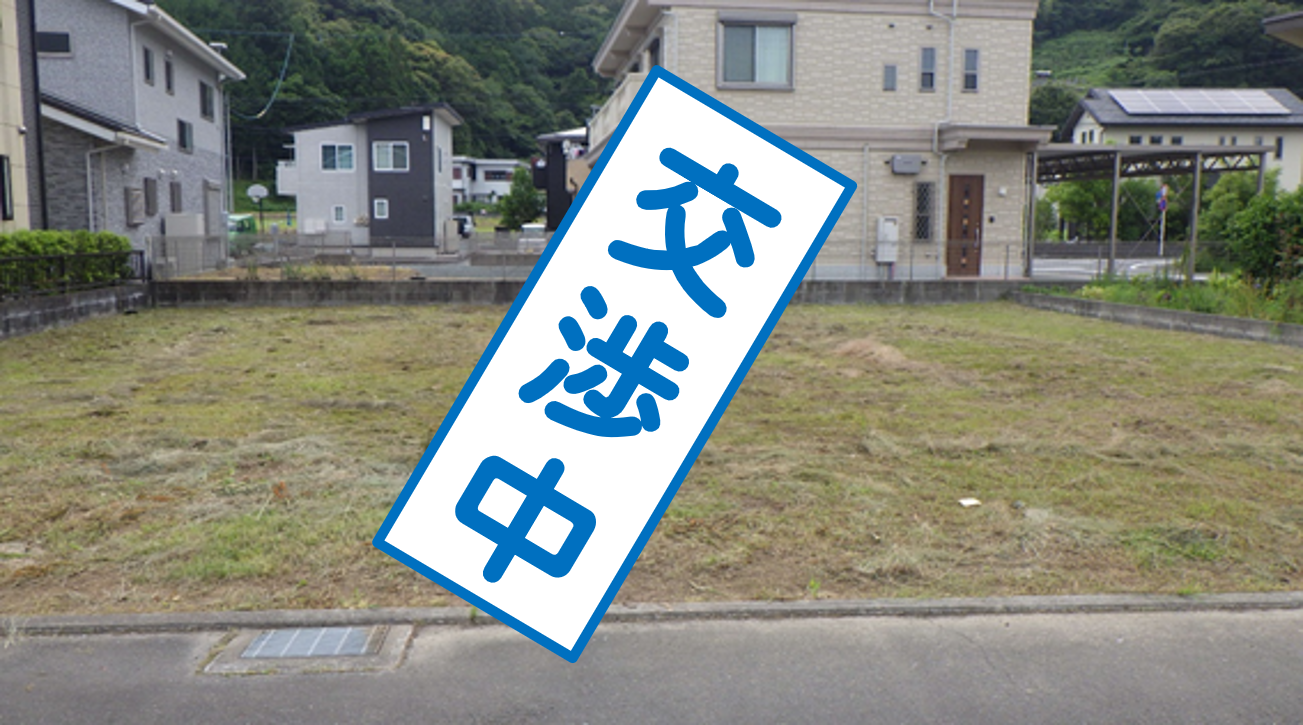 amemomiya67