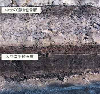 火山灰が積もった地層の写真