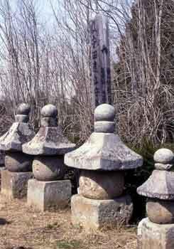 安田義定父子の墓の写真