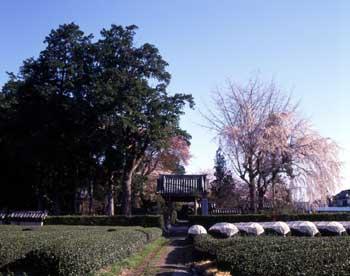 飯田山崇信寺の正門写真