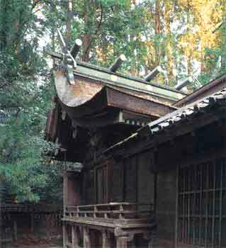 天宮神社本殿の外観写真
