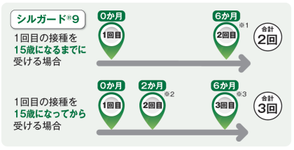 シルガード9(9価)接種スケジュール