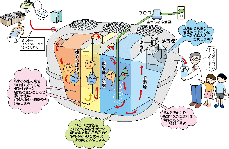 生活排水が合併処理浄化槽によって綺麗な水になる仕組みが説明さているイラスト
