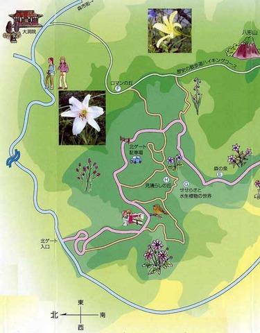 ウォーキングマップ北の地図