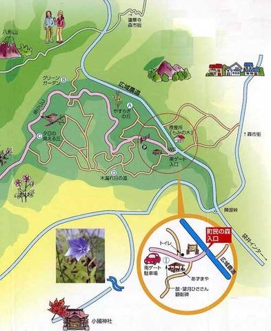 ウォーキングマップ南の地図