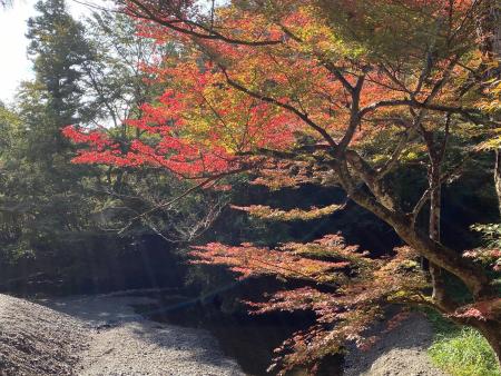 大洞院