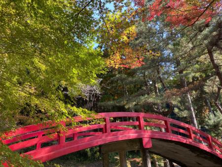 大洞院