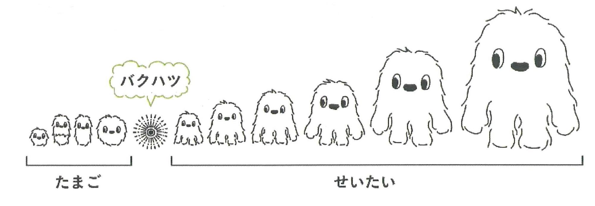 コモコモの成長