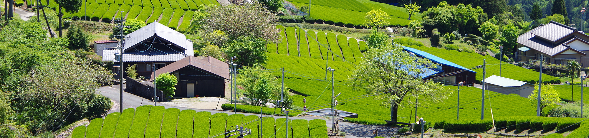 森町移住定住サイトトップ