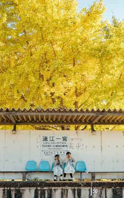 黄色に色づいた立派な銀杏の木が見える遠江一宮駅のホームの写真