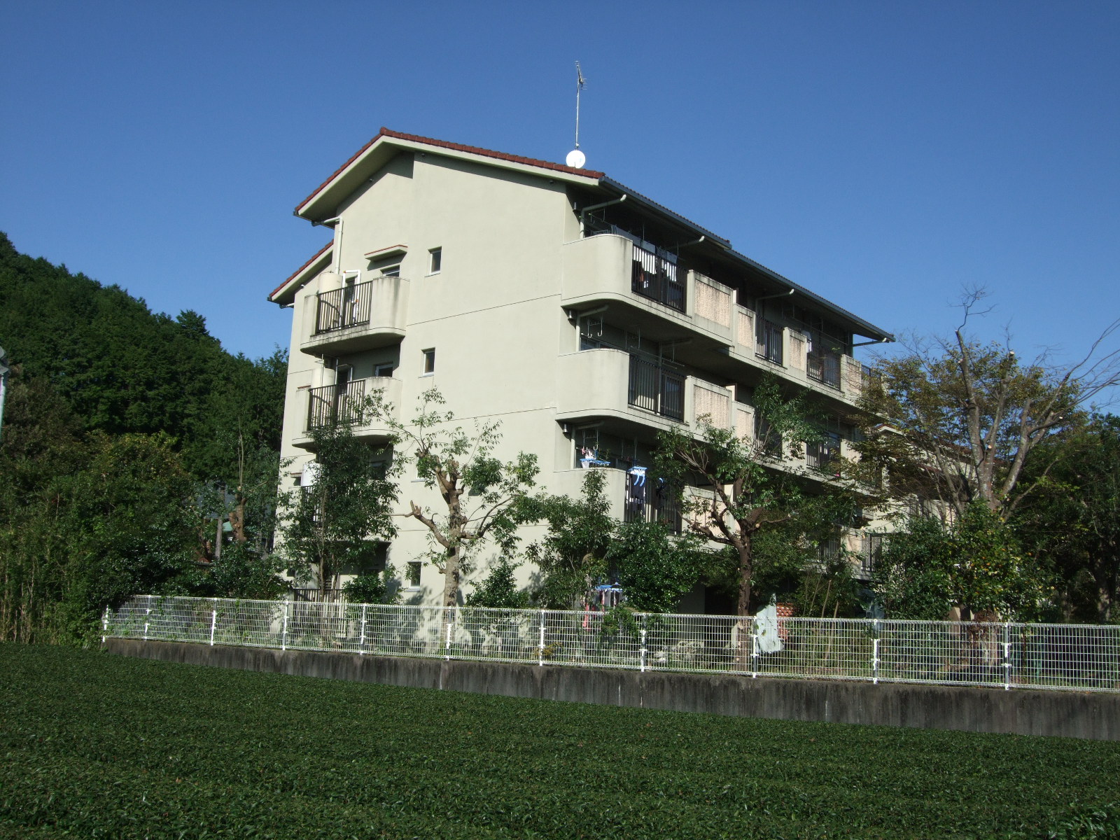 3階、4階建て、緑に囲まれた薄緑色の建物の町営住宅やざき団地の写真