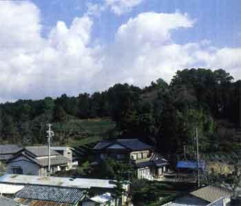 院内古墳群遠景写真