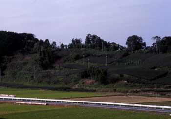 飯田荘戸和田郷の賀茂山の風景写真