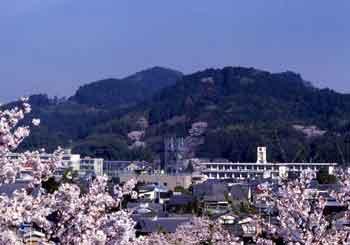 蓮華寺山と森の街の風景写真