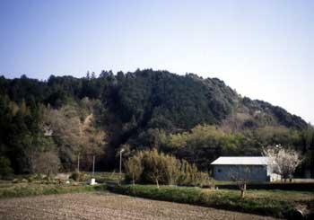 真田山城の外観画像