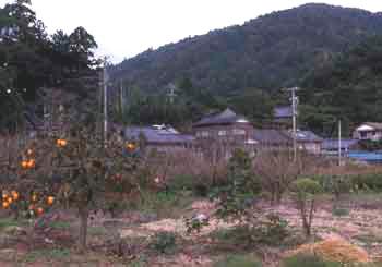 西俣村風景、左上の杜は天王社、その右奥は薬師堂の写真