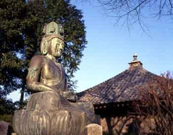 高平山遍照寺の大日如来坐像の写真