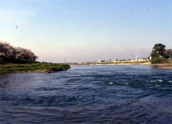 森町戸綿からの現在の太田川の写真