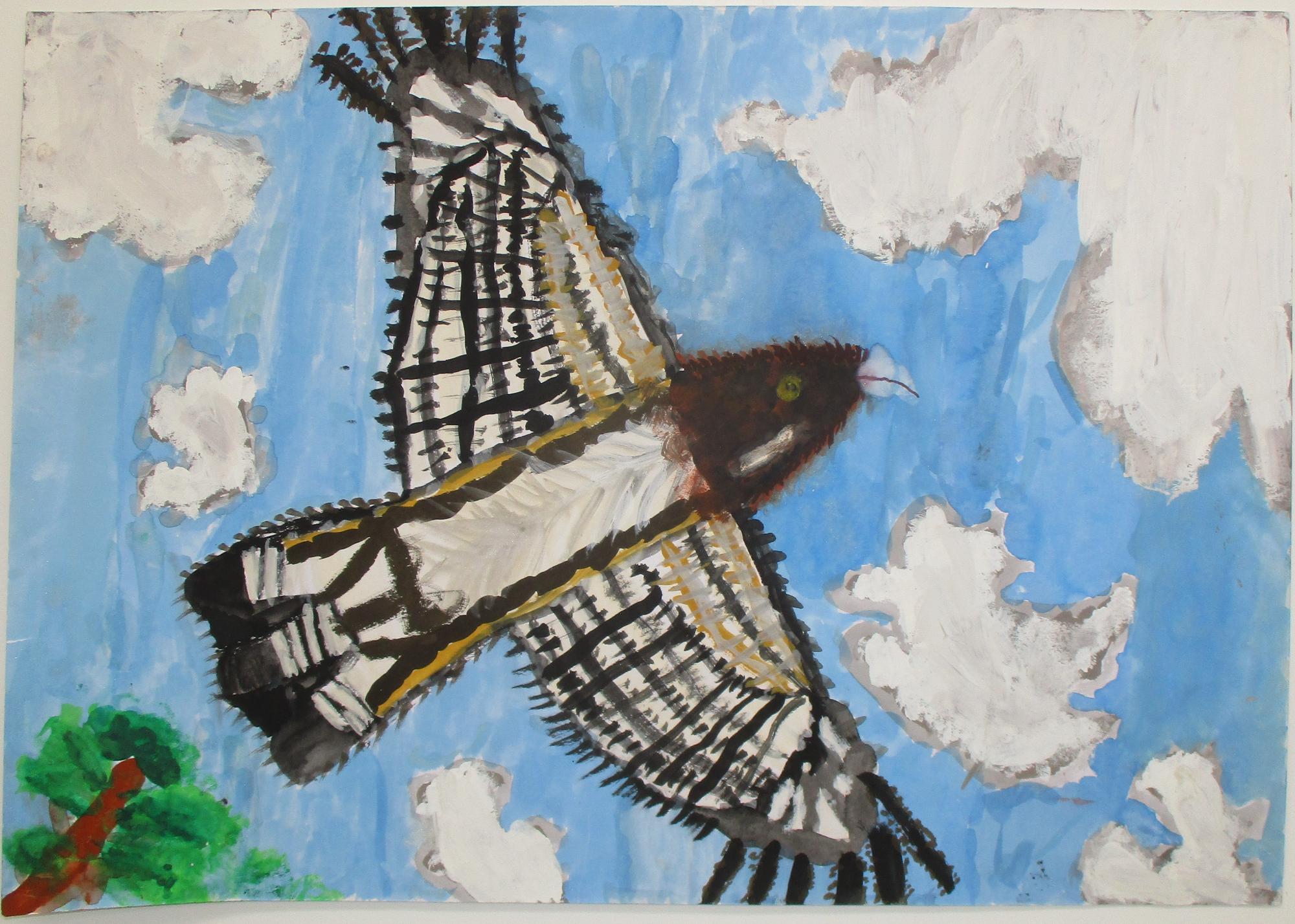 入選　鈴木晴琉