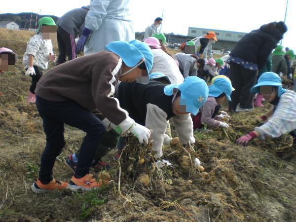 ジャガイモあったよ