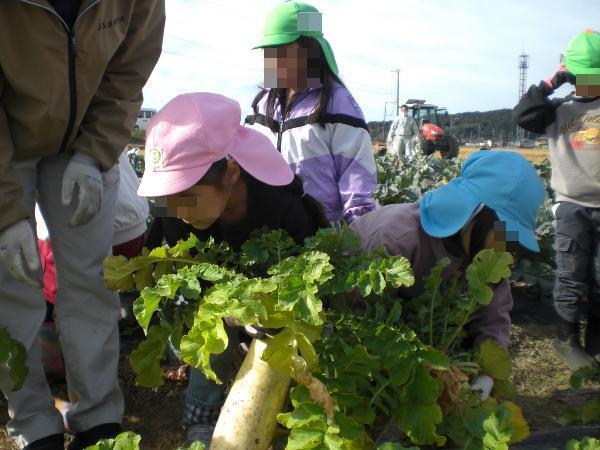 大きいのが抜けたよ