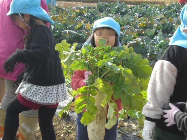 抜けたよ。大きいよ