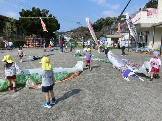 それぞれの手に鯉のぼりを持っている園児たち、園庭の上に鯉のぼりをつないだロープを張り、泳がせる準備をしている写真