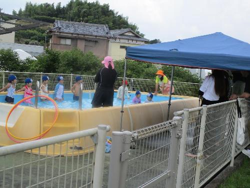 プール遊びうさぎぐみ