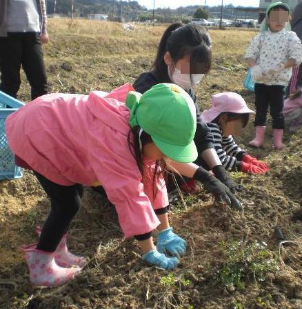 ジャガイモあったよ