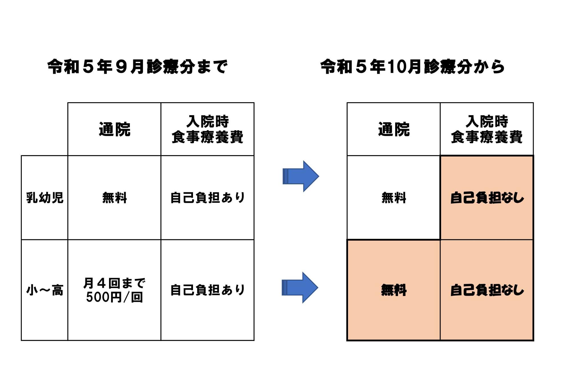 こども医療費助成区分