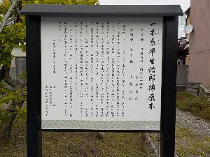 一木系早生次郎柿原木