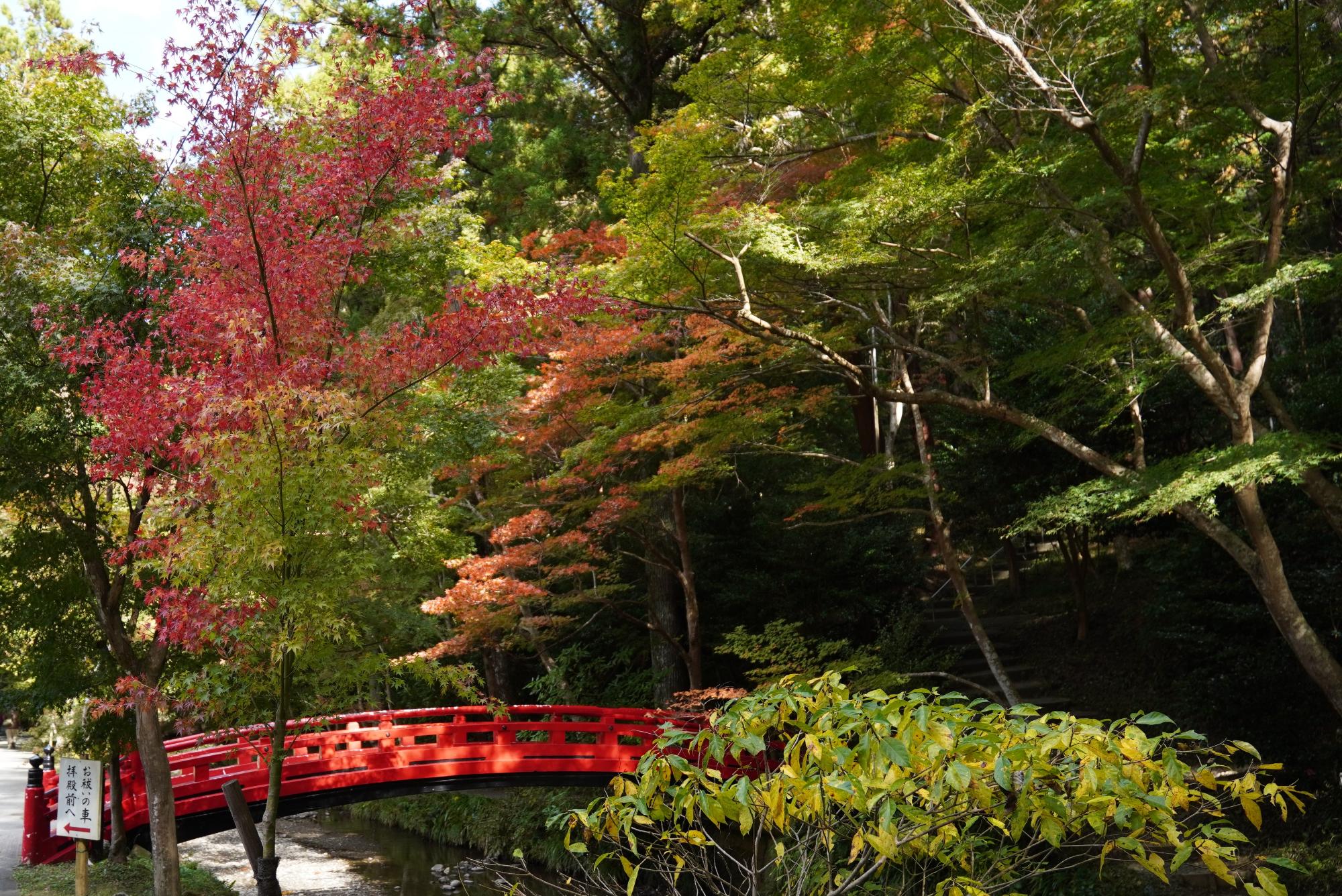 小國神社4令和3年11月12日