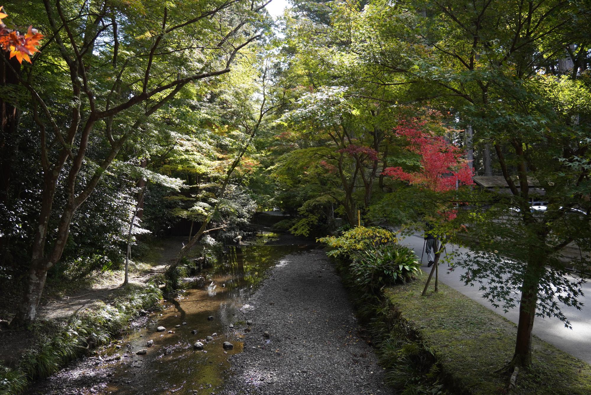 小國神社1令和3年11月12日