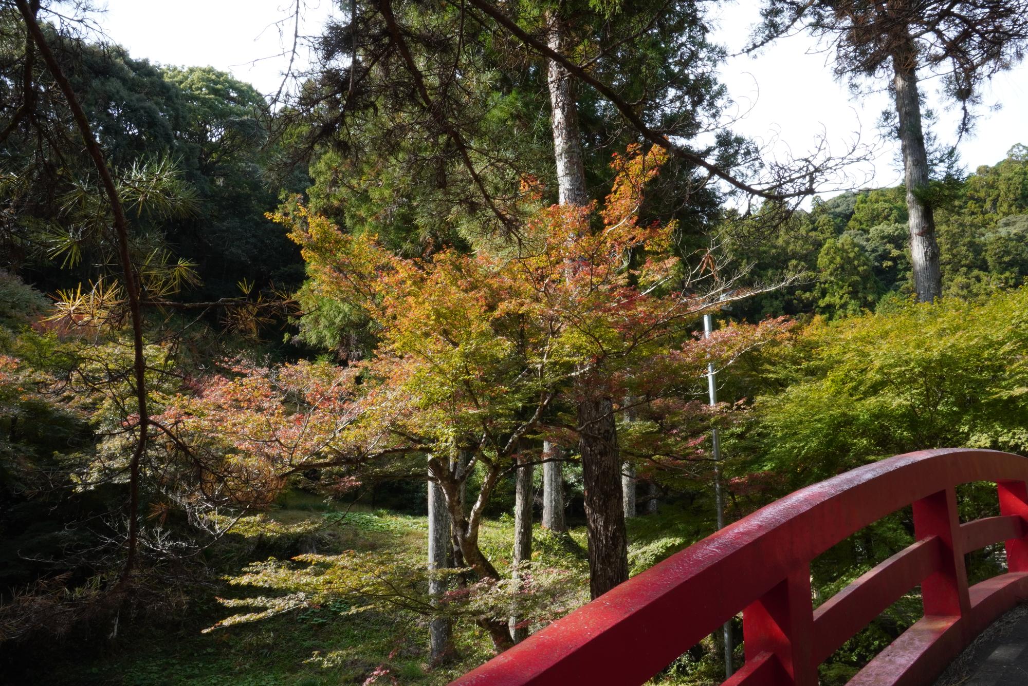 大洞院3令和3年11月12日