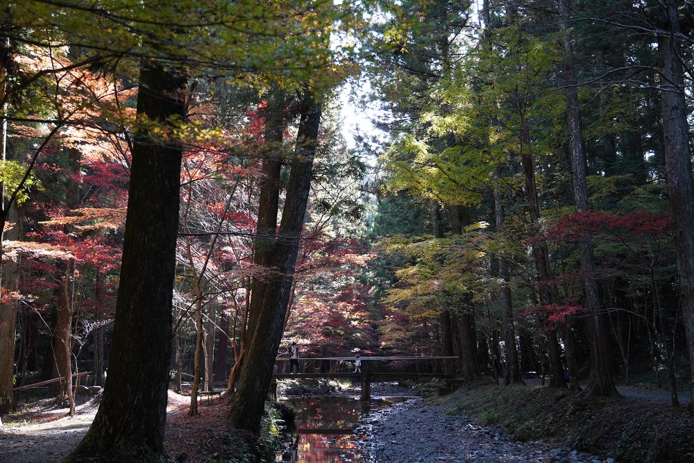 小國神社