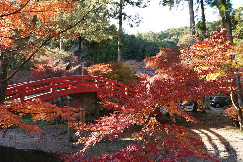 大洞院