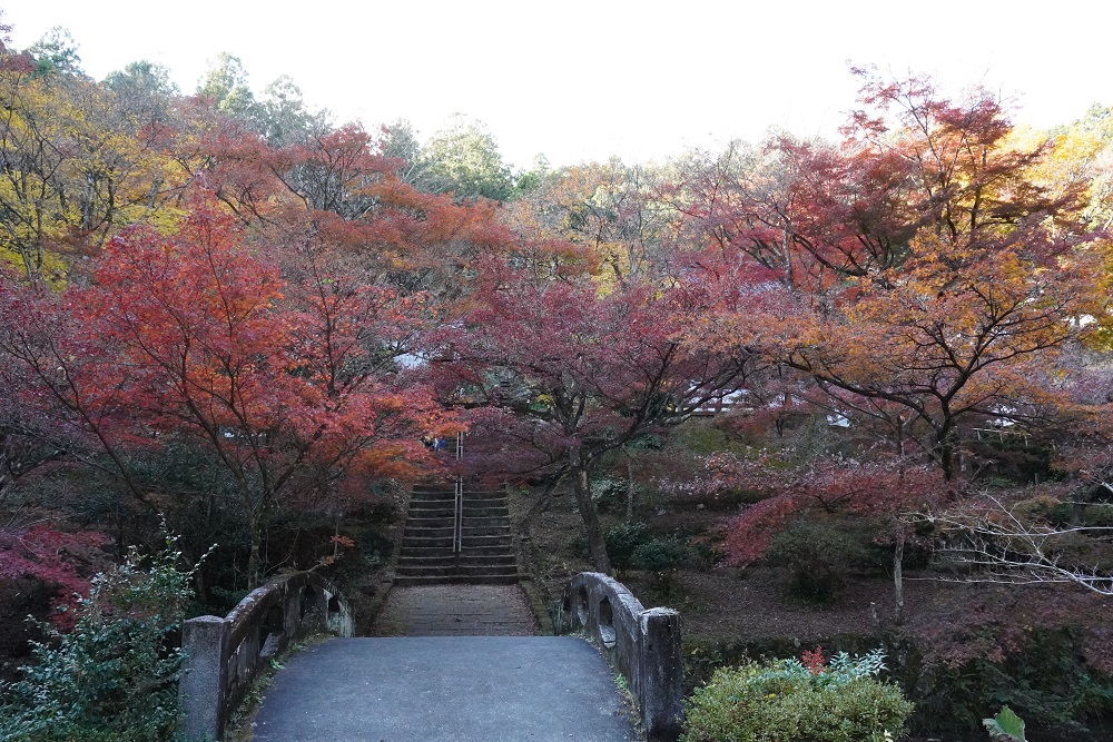 大洞院