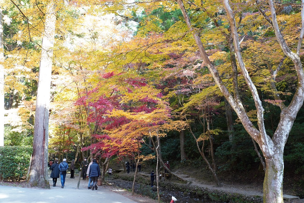 小國神社