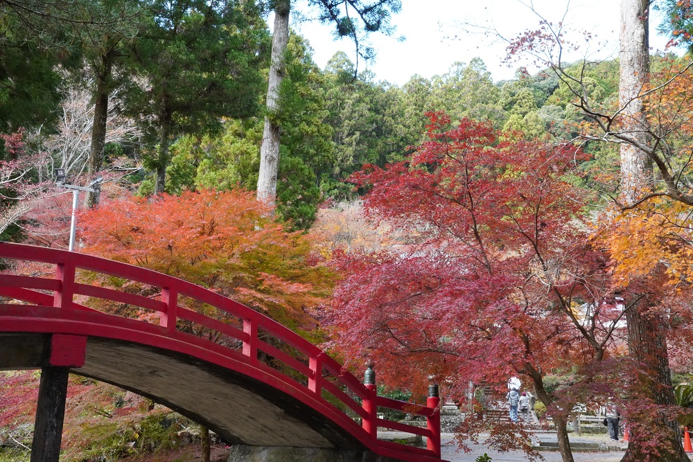 大洞院