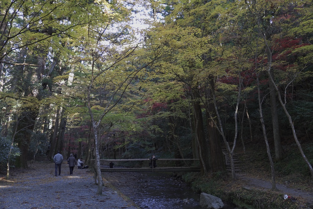 小國神社紅葉