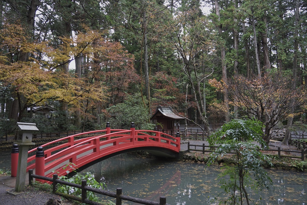 小國神社紅葉