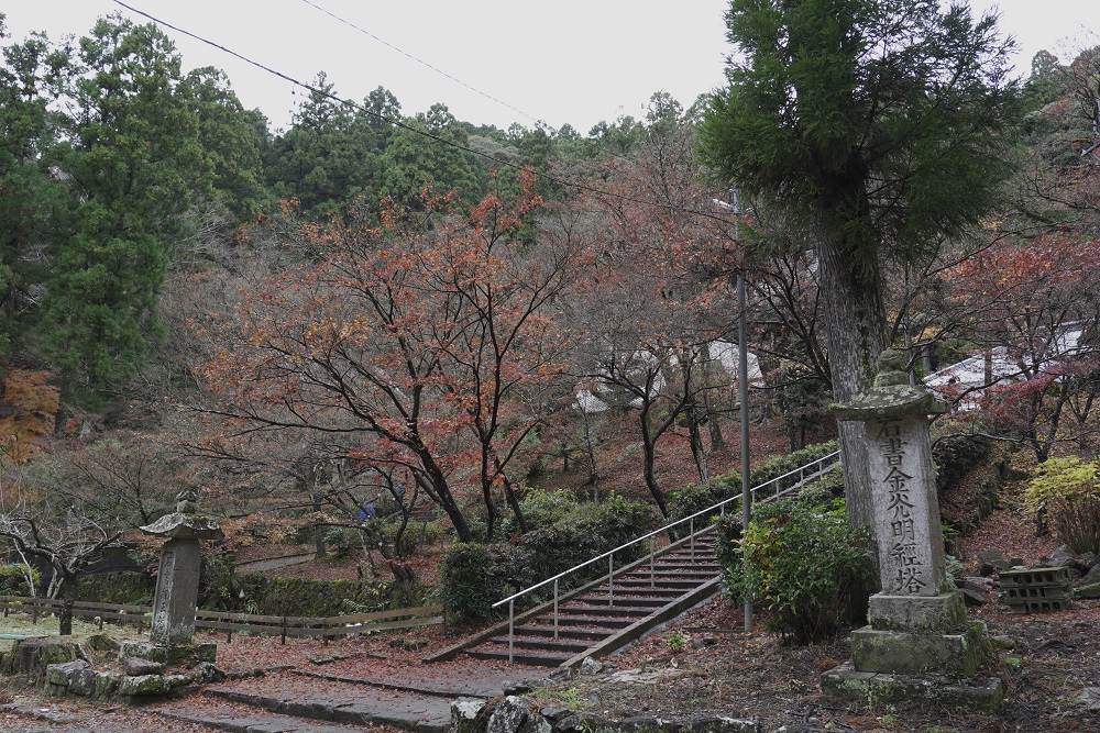 大洞院紅葉