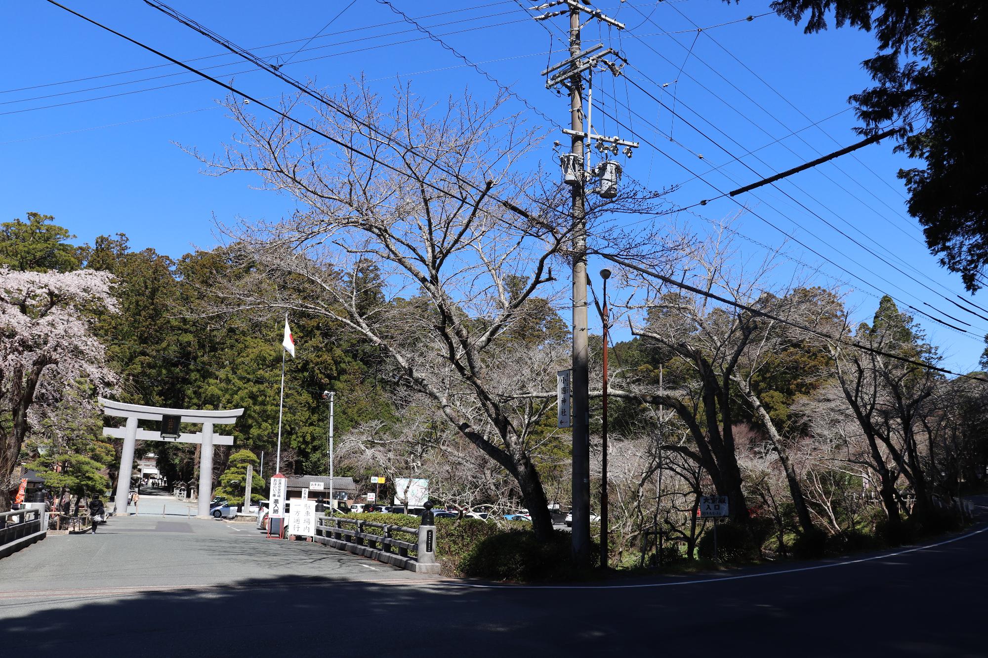 小國神社紅葉