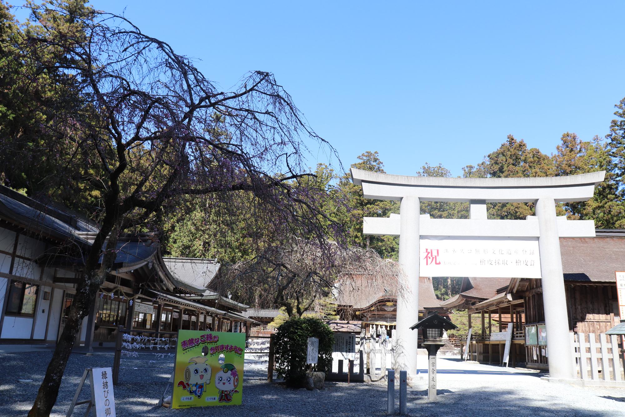 小國神社紅葉