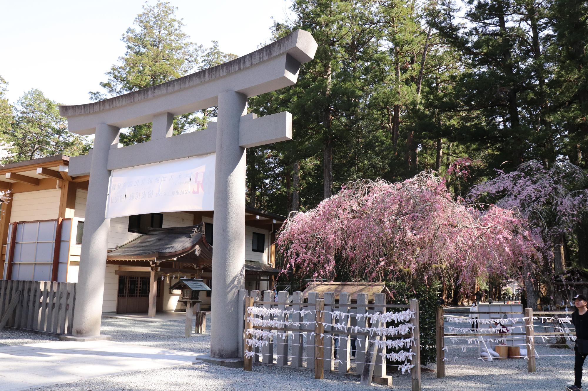 小國神社紅葉