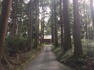 大日山団地の登山道の写真