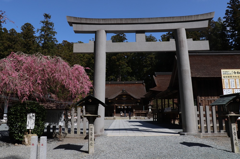 小國神社桜