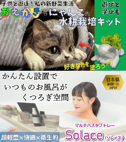 金山化成景品