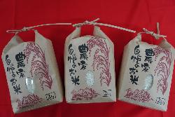 野口園景品