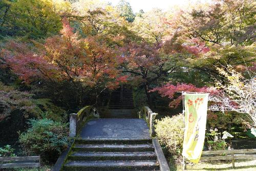 紅葉